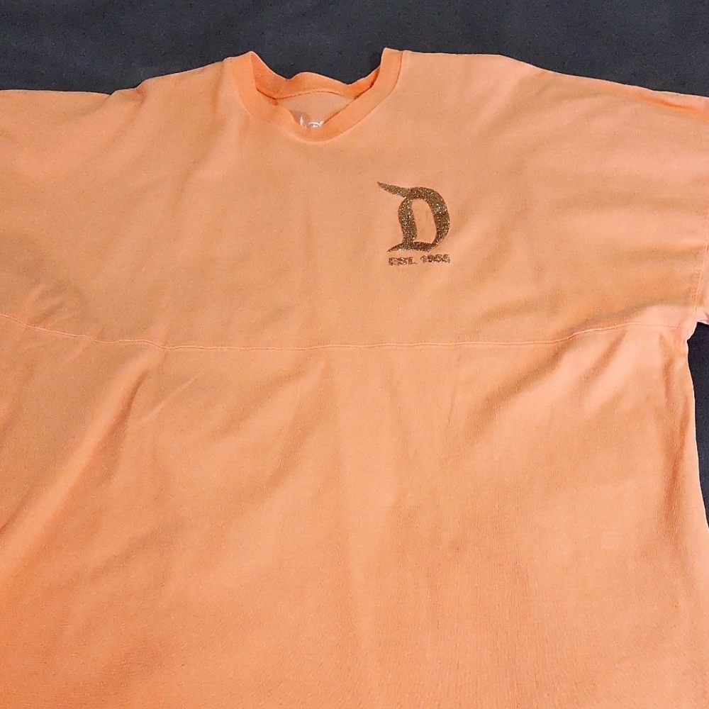 Disneyland spirit jersey size M